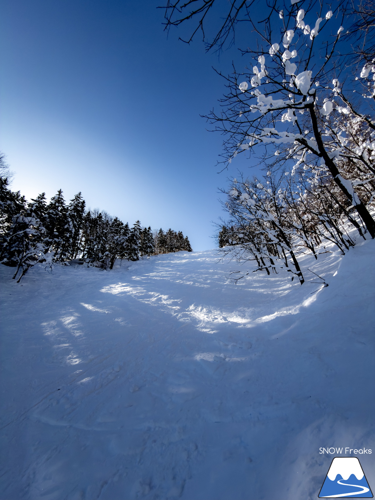 士別市日向スキー場＆士別市あさひスキー場｜こんなに楽しいスキー場が市内に２ヵ所も！士別市民の皆さんが羨ましい。。。